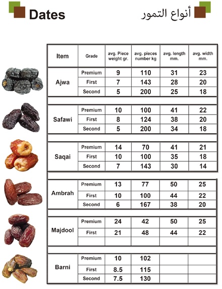 Airline Saudi Dates